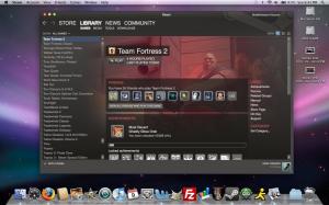 231501 Steam Library View   TF2 300